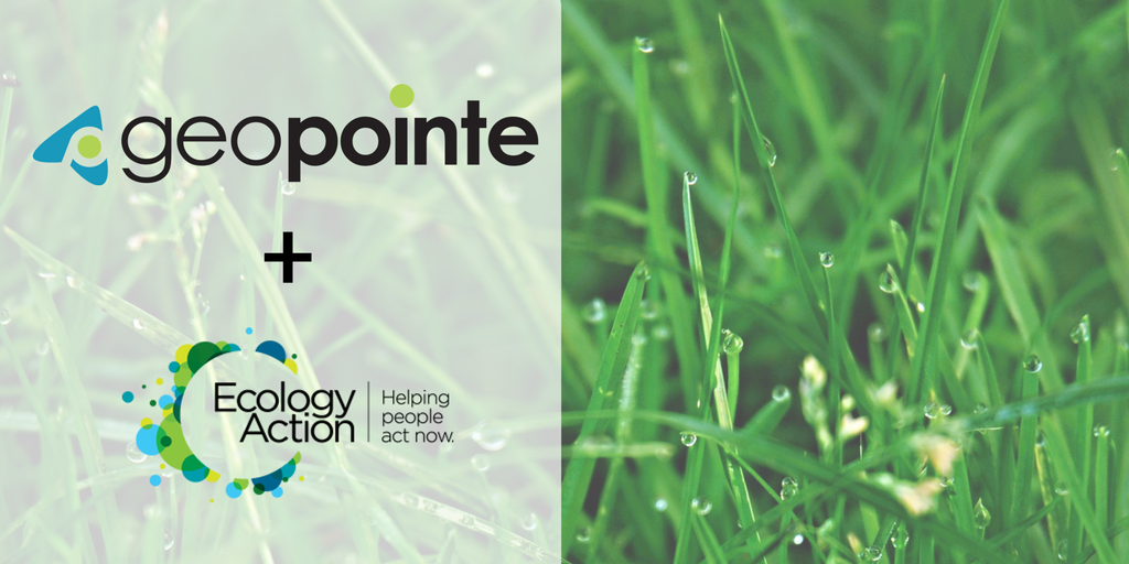 How Geopointe Helped a Nonprofit with Small Business Make a Big Impact | Geopointe