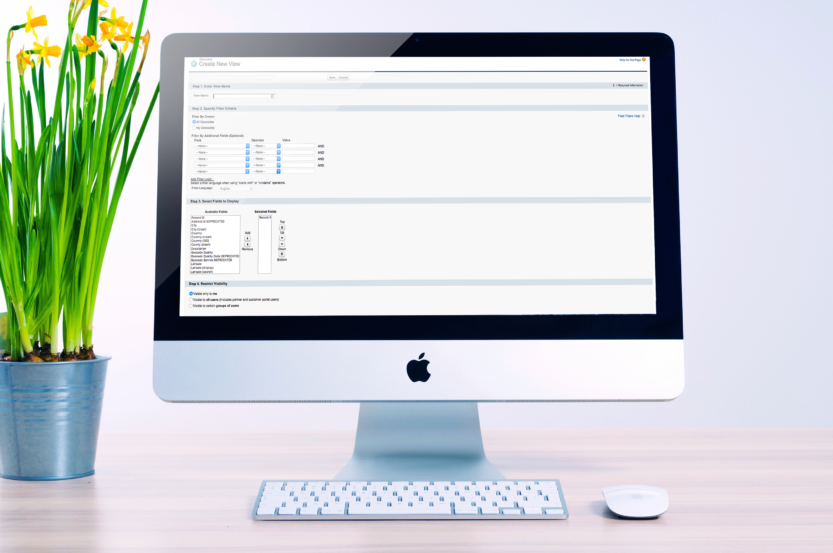 Get your Salesforce Data Ready for Mapping
